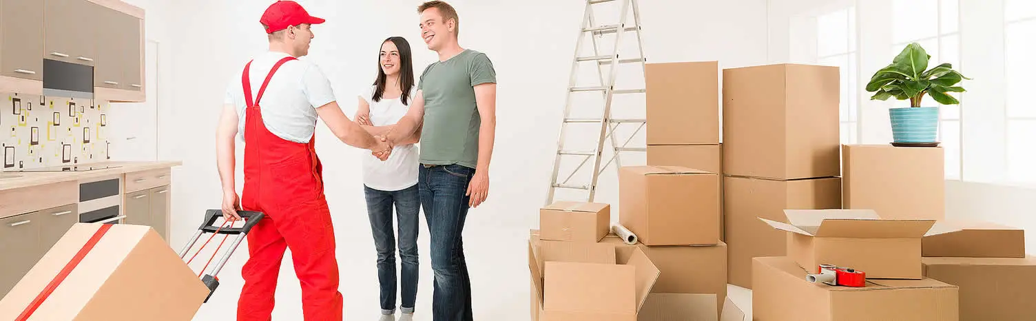 Bolu Kurumsal Taşıma